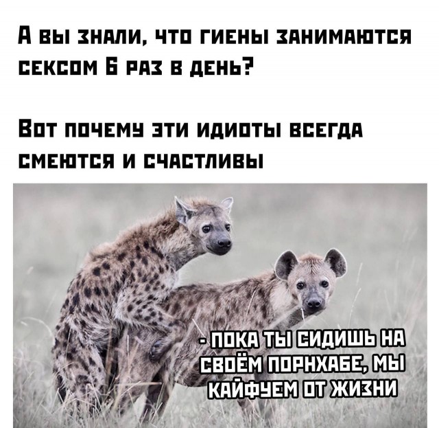Немного мемчиков. Для взрослых 18+. Часть 12