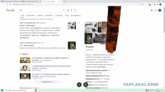 Пасхалка из Google