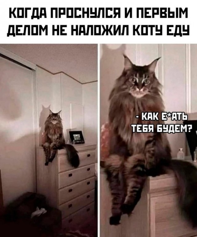 Немного картинок для настроения - 137