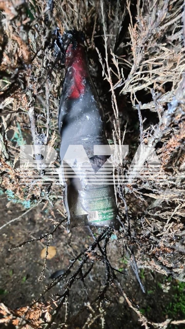 Жительница Москвы попыталась вернуть наследство своего сына, но после этого ей сожгли машину и потребовали 10 миллионов