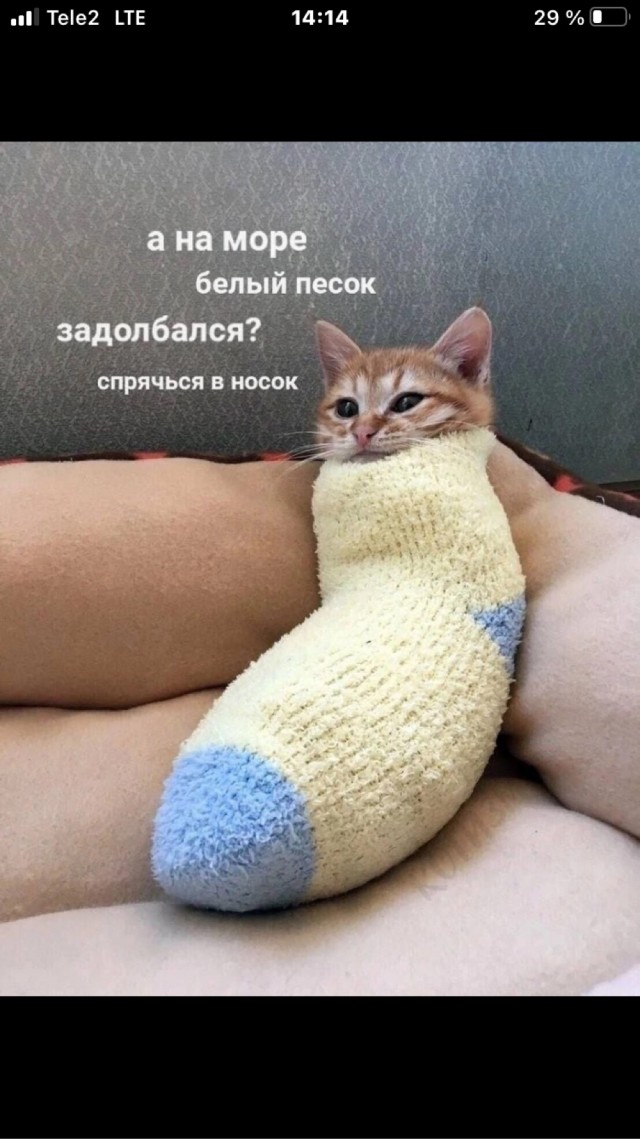 Так себе картинки 24.12.22