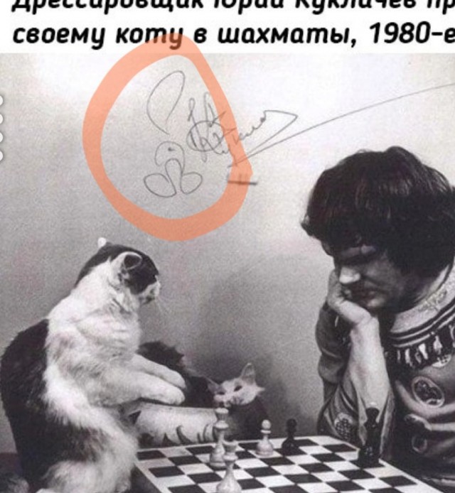 Так себе картинки 12.02.23