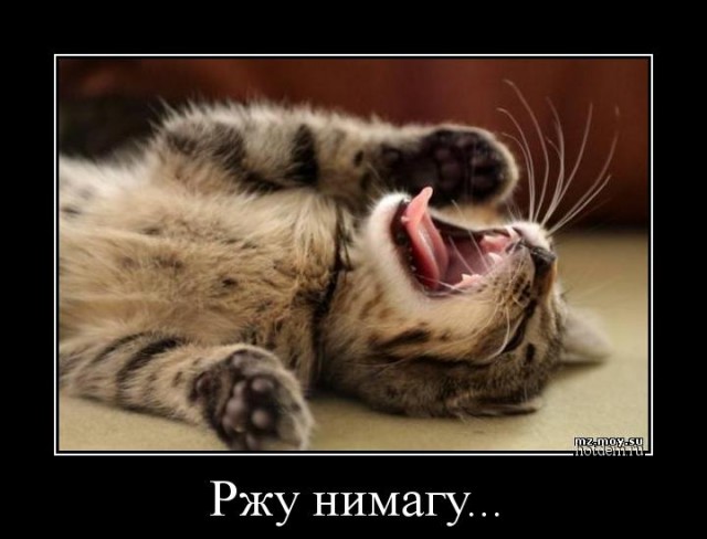 Один кошк и два струна - музыкальная игра