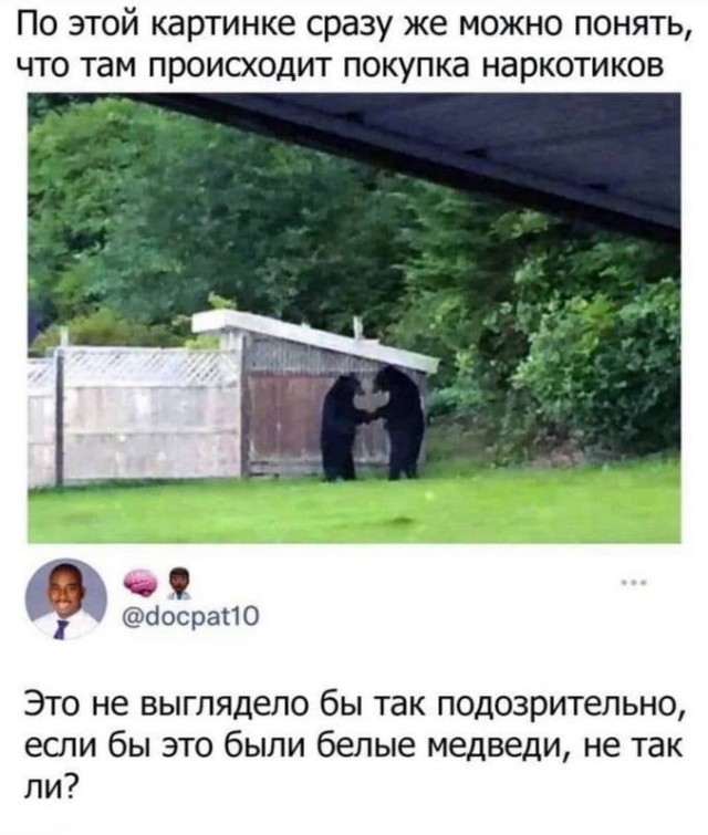 Так себе картинки 26.03.23