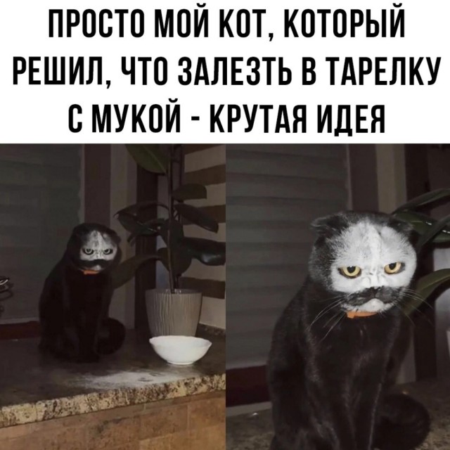 Картинки и мемы, всяко разно - 171