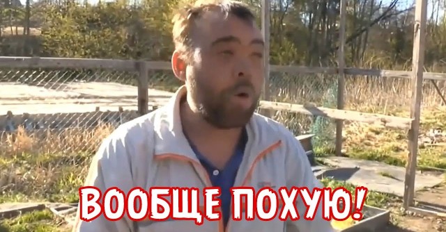 ЛДПР предложила наклеивать на бутылки водки спившиеся лица бомжей