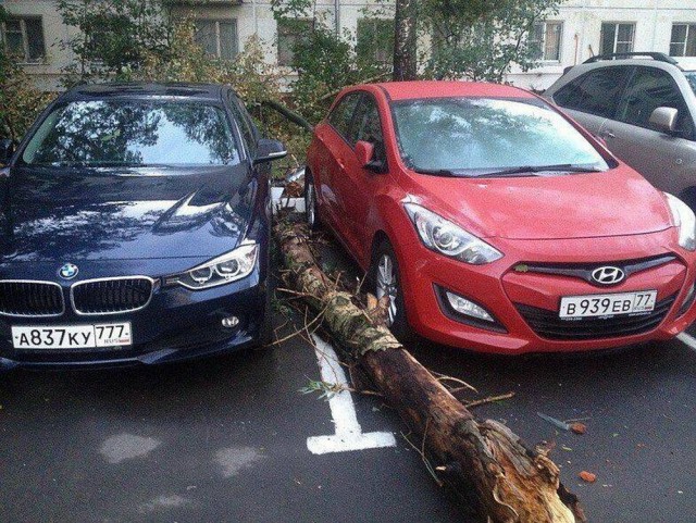 Прикольные и просто красивые картинки 21.07.2023