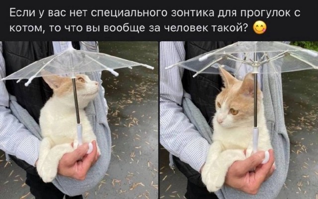 Так себе картинки 24.07.23