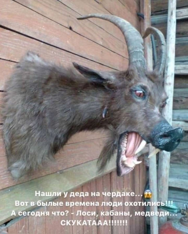 Средненедельная ХНЯ