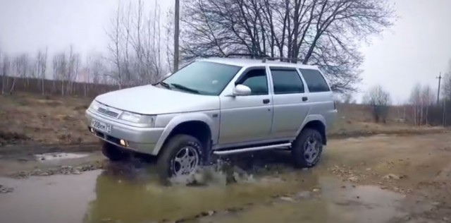 Приключения «Лады Тарзана» – покорителя дачных джунглей