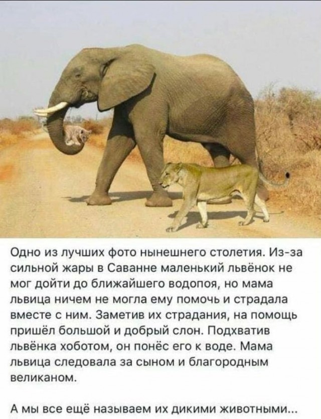 Школа джедаев. Начало