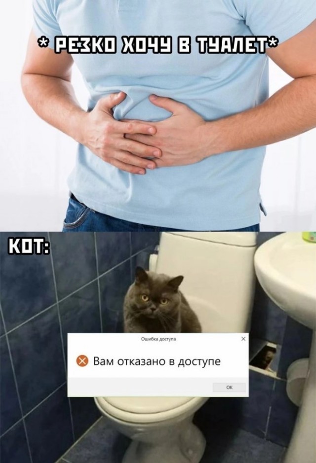 Всякая смешная фигня