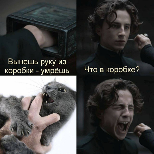 Так себе картинки 20.01.24