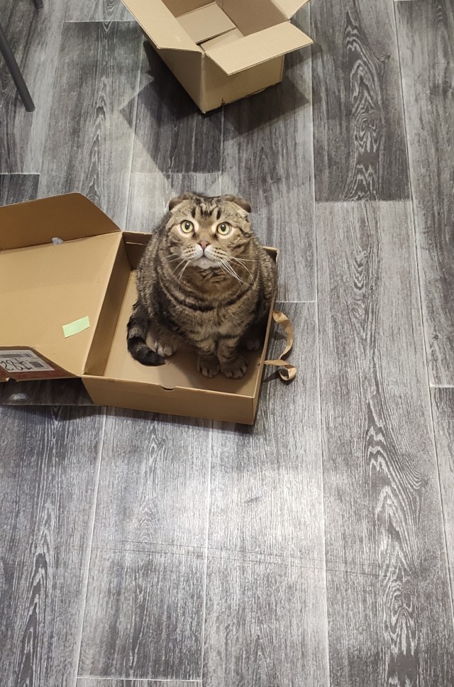 Звук, который не спутаешь ни с чем