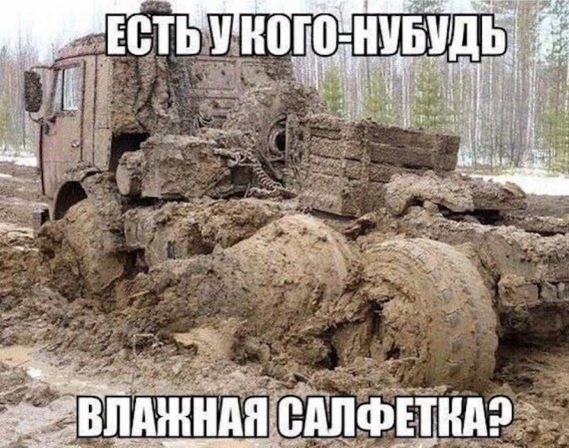 Весёлый полтишок 15.04.24
