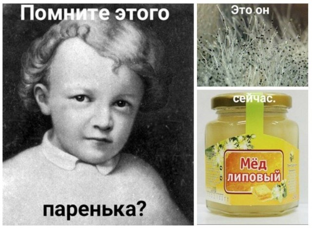Нуштош 30.04.2024