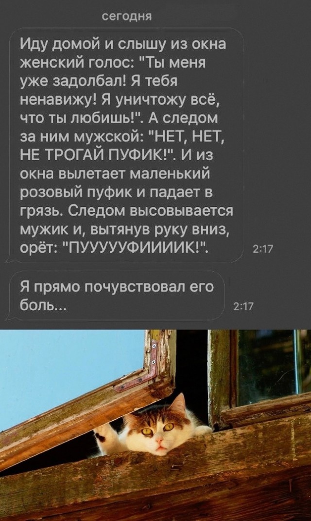 Так себе картинки 24.05.24
