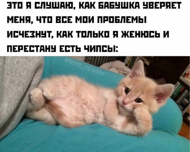 Отряд быстрого деградирования