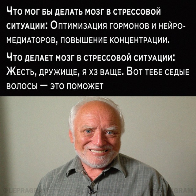 Никакие картинки