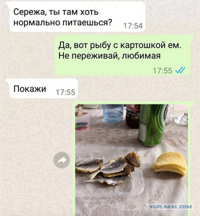 Картинки и буквы 24.06.2024
