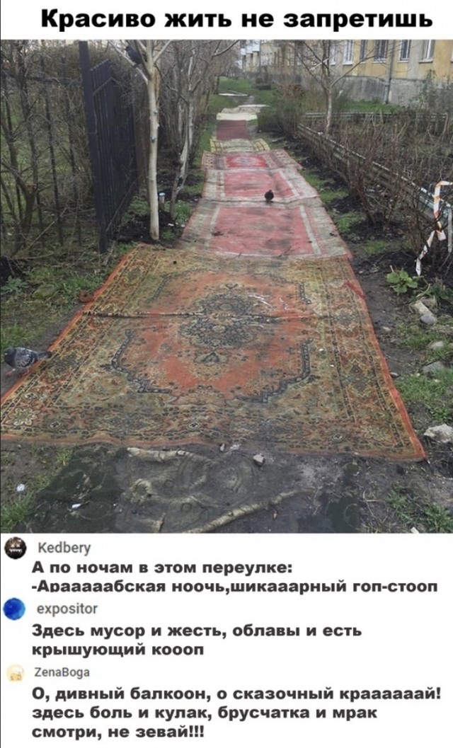 Так себе картинки 28.07.24