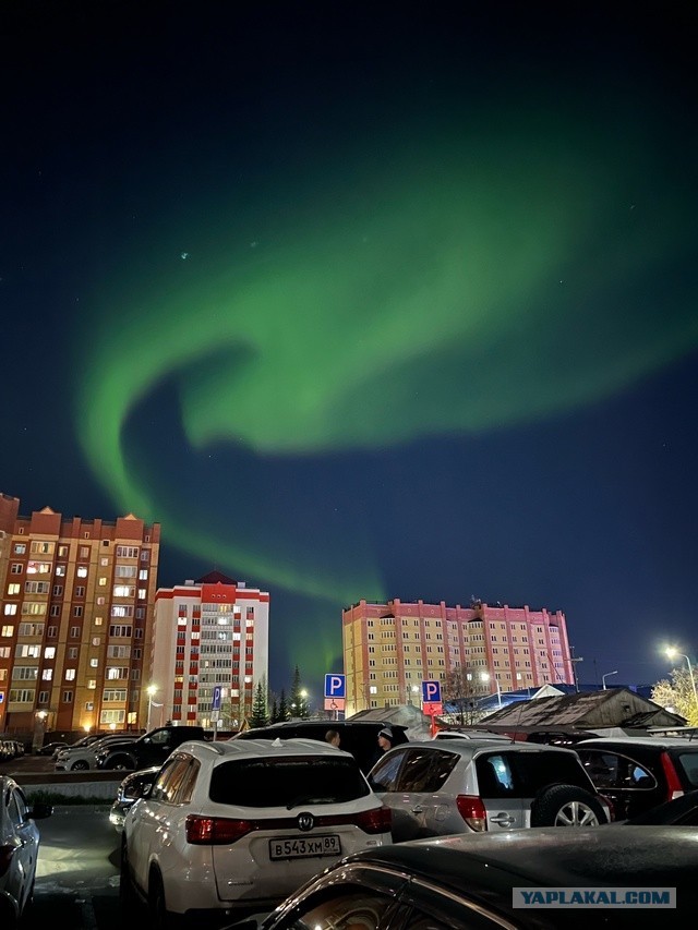 Одного фото пост. Но красивое, не мог не поделиться