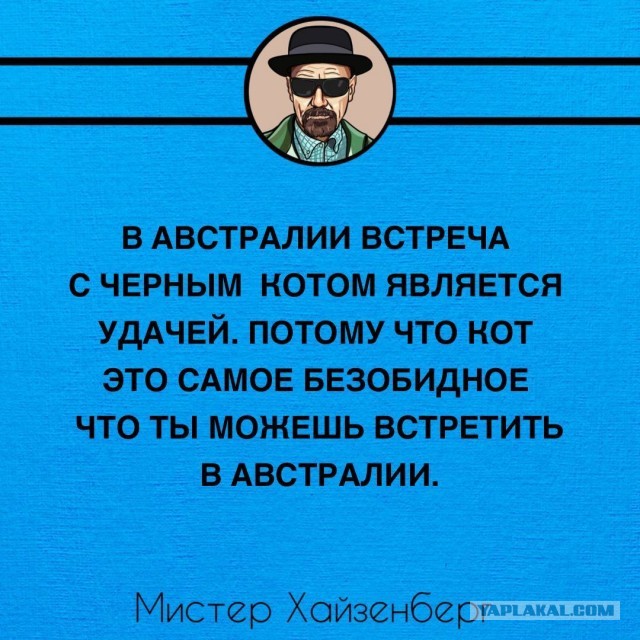 Так себе картинки 23.11.24