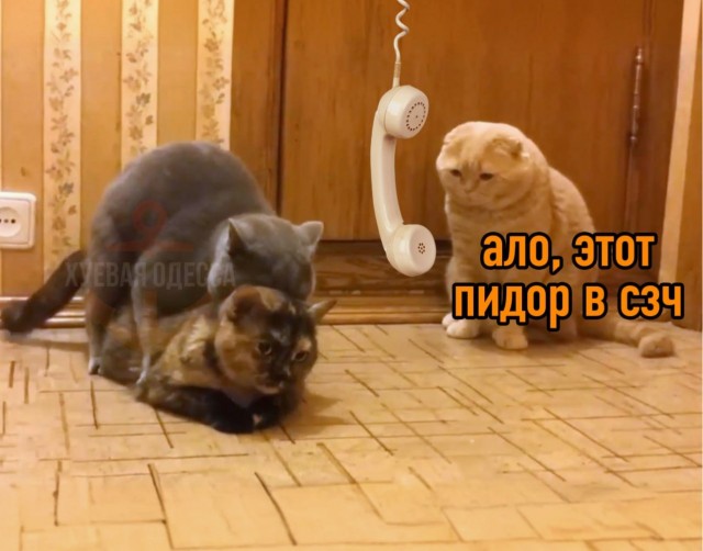 В Одесской области мужик сдал полиции любовника своей жены