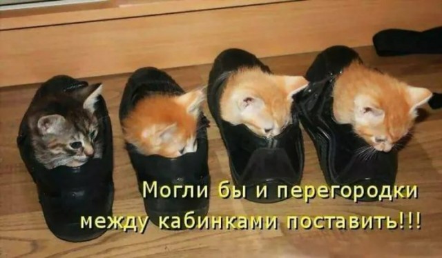 Картинки не для всех