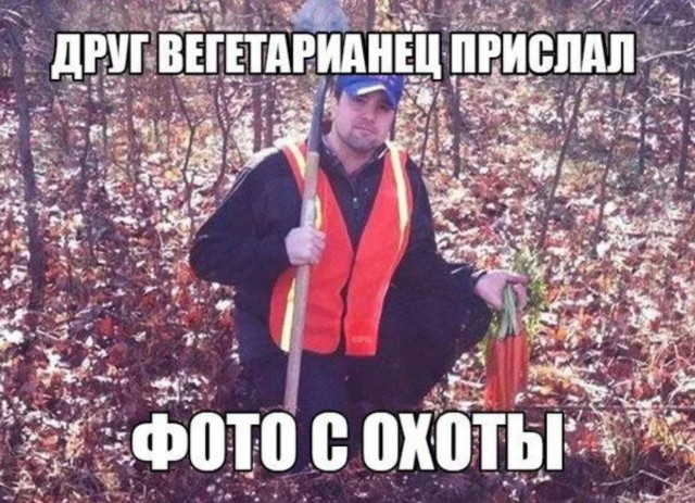 Завалялось тут случайно немного забавных картинок