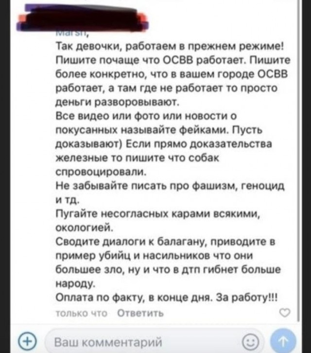 В Новосибирске более 200 человек пришли на митинг против эвтаназии животных.