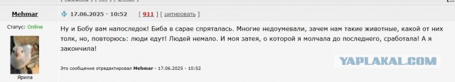 Веселая ферма: знакомьтесь, Кызя!