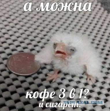 Бессонница это очень плохо!