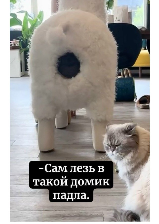 Так себе картинки 13.09.25