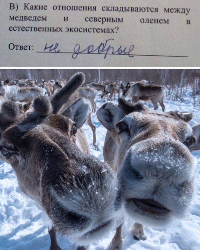 "Мужики, вы не поверите..."