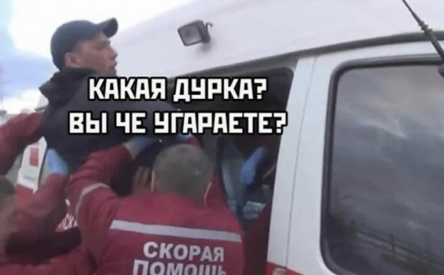 Белочка вместо деда мороза