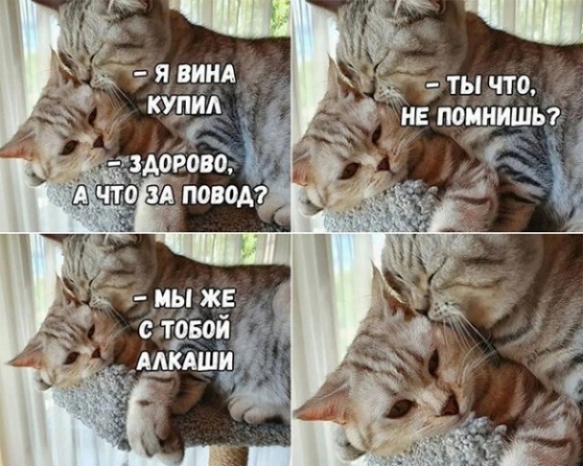 Картинки для деградации 120 (разной степени свежести)