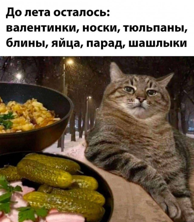 До лета в Москве осталось всего лишь 134 дня и 18 минут