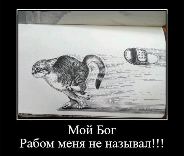 Вопросец один, рабам котов и кошек
