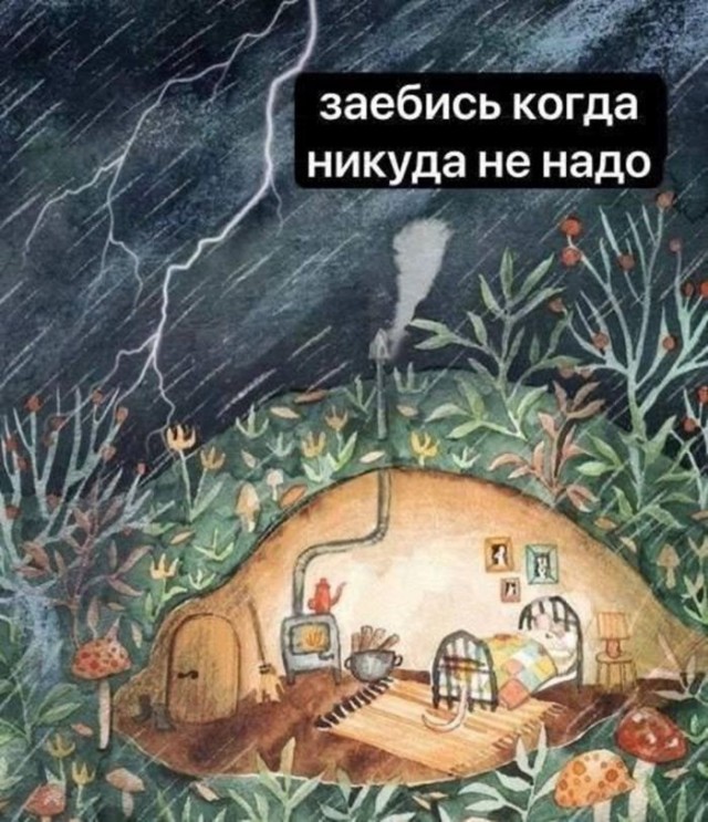 Веселые картинки в понедельник (03.08)