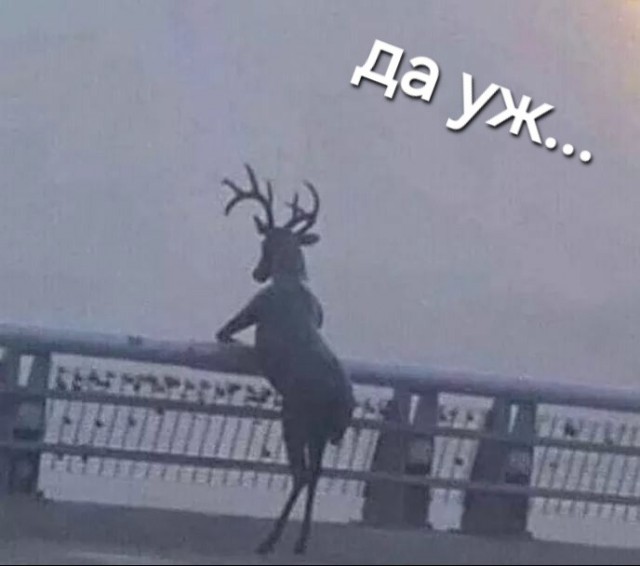 А я кажется нашел заставку перед постами Кочета