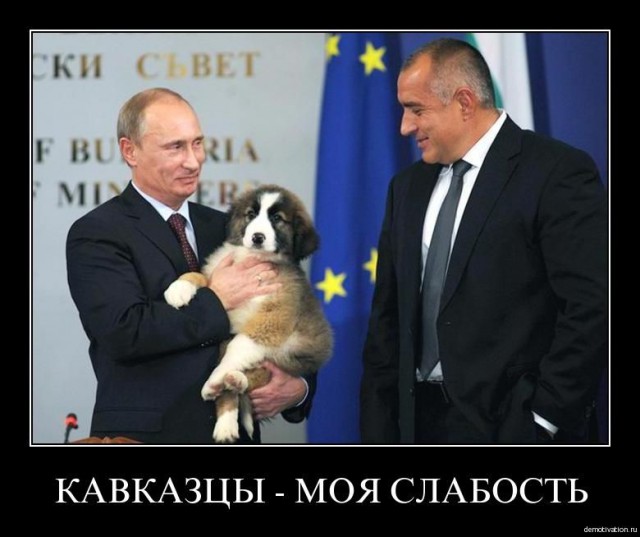 Содержать россиянина дешевле, чем ежа!