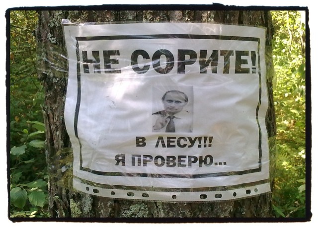 Все под контролем - проверит лично!
