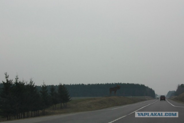 Беларусь 2014