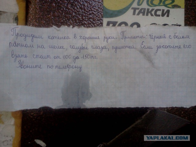 Маразмы и просто позитивные картинки