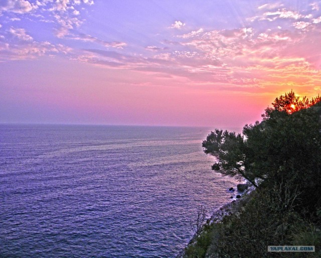 Будни фотографа