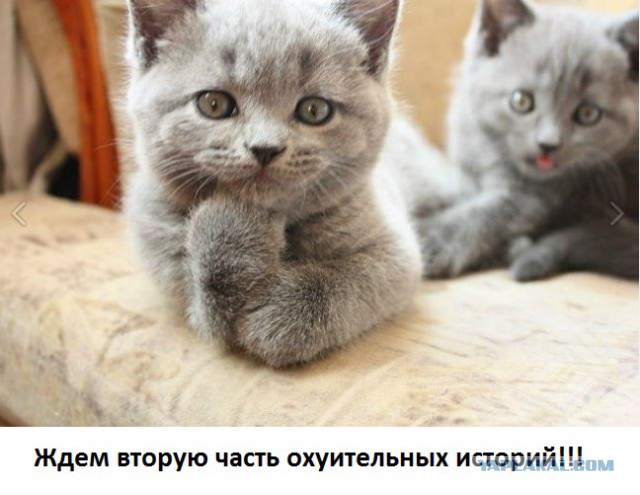 Путин и Порошенко.