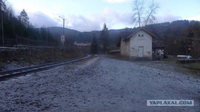 "Мои" Карпаты