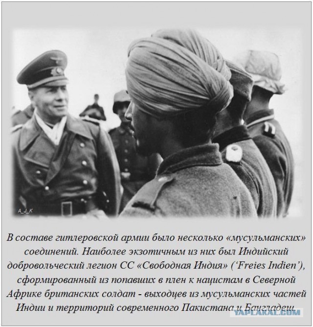 20 фактов обо всем