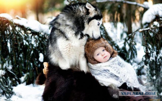 Мы с тобой одной крови , ты и я ©